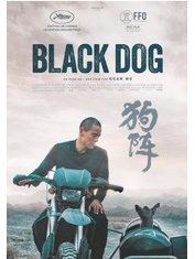 Black dog 
