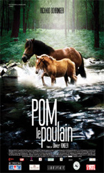 POM, LE POULAIN