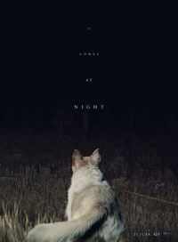 IT COMES AT NIGHT