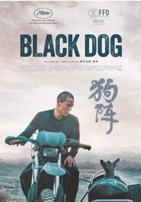 Black dog 